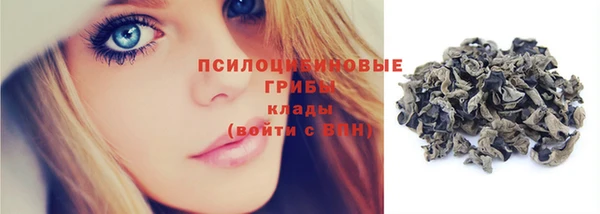стаф Елабуга