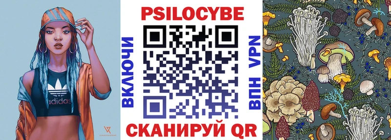 Галлюциногенные грибы Psilocybine cubensis  что такое наркотик  Жердевка 