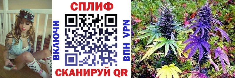 блэк спрут вход Жердевка МАРИХУАНА White Widow